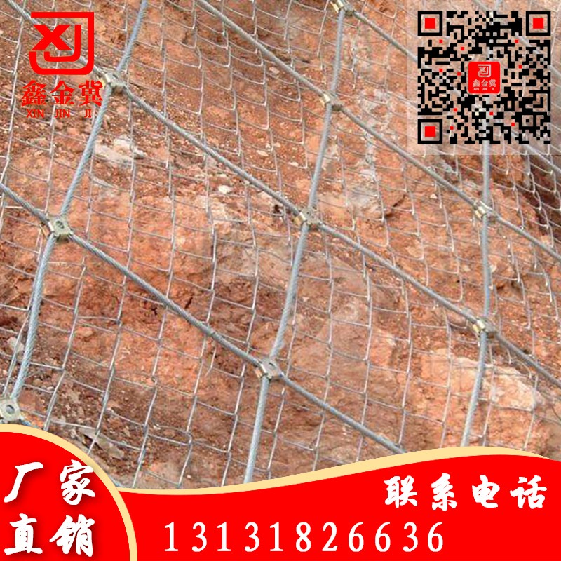 主動(dòng)網(wǎng)、鋼絲繩網(wǎng).jpg