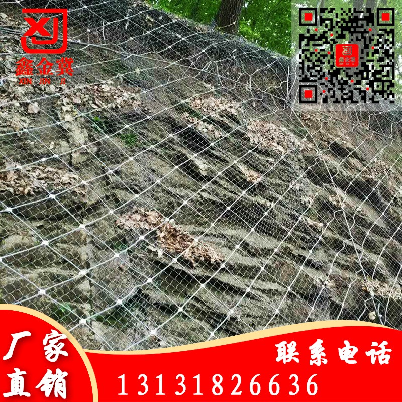 主動(dòng)防護網(wǎng).jpg