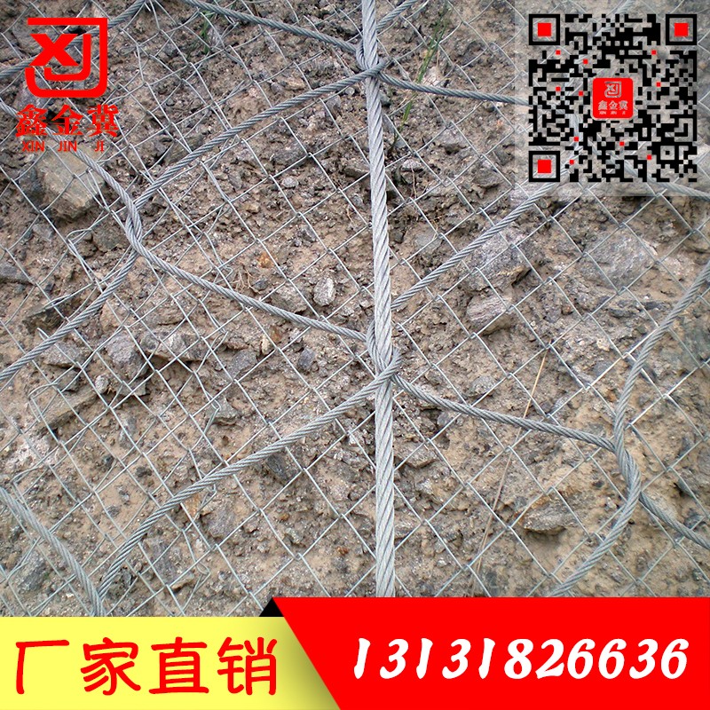 主動(dòng)防護網(wǎng).jpg